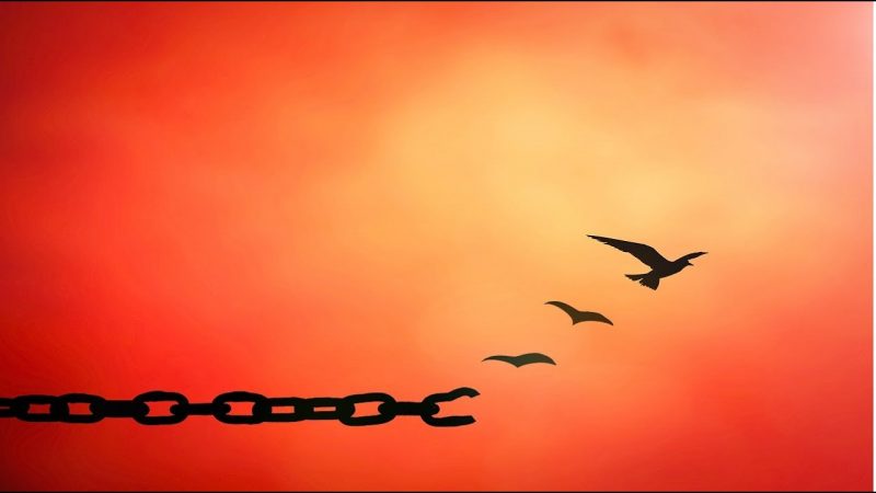 Forgiveness
